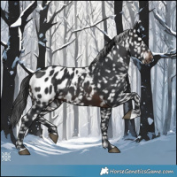 Horse Color:Brown Near Leopard 