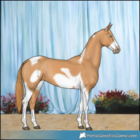Horse Color:Chestnut Tobiano Frame 