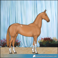 Horse Color:Chestnut Tobiano Frame 