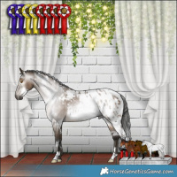 Horse Color:Gray White Spotted Brown Dun Appaloosa Rabicano