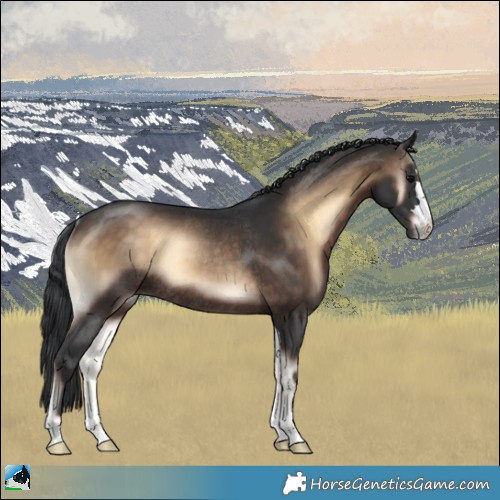 Horse Color:Brown Onyx Rabicano 