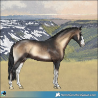 Horse Color:Brown Onyx Rabicano