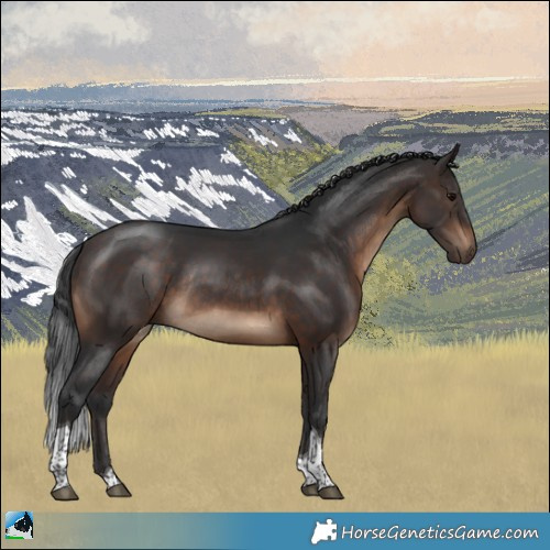 Horse Color:Brown Tobiano Rabicano
