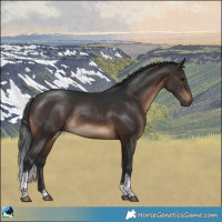 Horse Color:Brown Tobiano Rabicano 