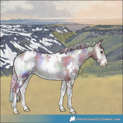 Horse Color:Nacre White Spotted Chocolate Silver Blue Onyx Chinchilla Sabino Rabicano