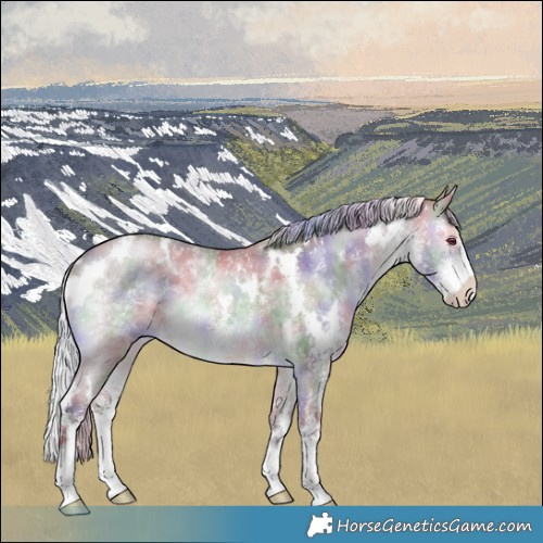 Horse Color:Nacre White Spotted Chocolate Silver Brown Chinchilla Sabino 