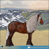 Horse Color:Chocolate Silver Bay Ice Rabicano