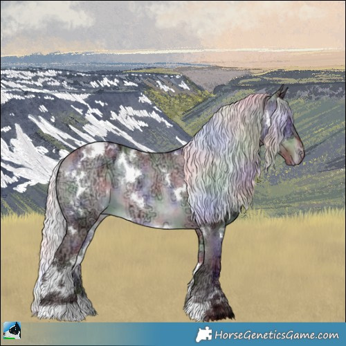 Horse Color:Nacre White Spotted Chocolate Silver Brown Chinchilla Ice Appaloosa