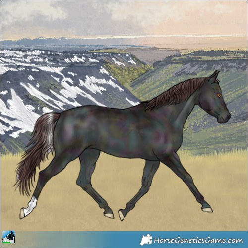Horse Color:Midnight Chocolate Brown Chinchilla Ice Onyx