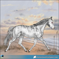 Horse Color:Silver Brown Chinchilla Onyx Sabino