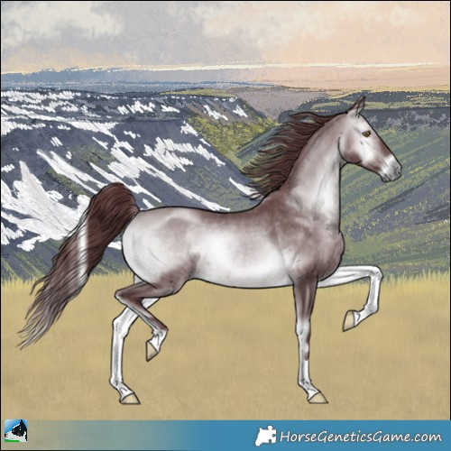 Horse Color:Chocolate Brown Chinchilla Onyx 