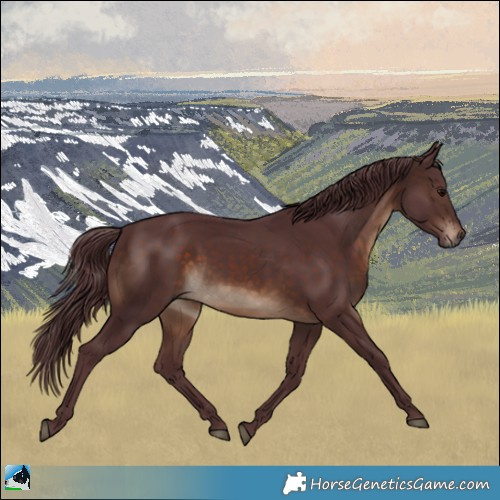 Horse Color:Chocolate Brown 