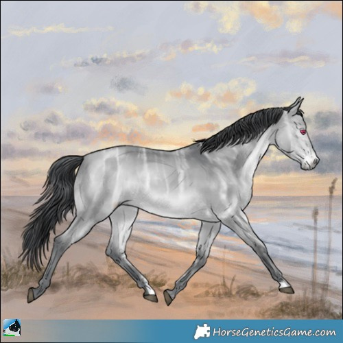 Horse Color:Bay Chinchilla Ice 