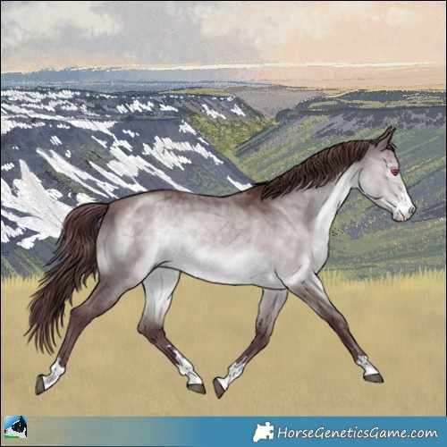 Horse Color:Chocolate Brown Chinchilla 