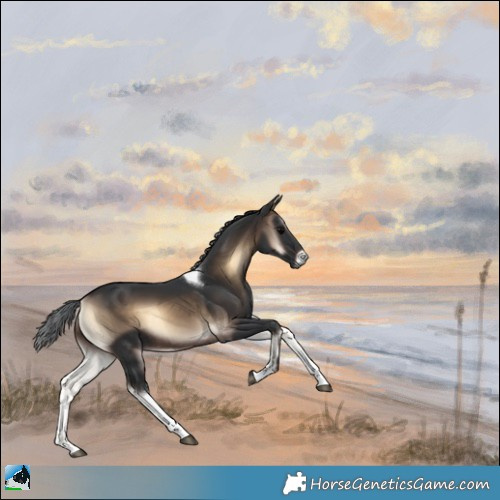 Horse Color:Brown Onyx Tobiano Rabicano 