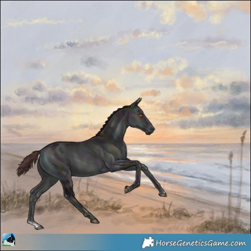 Horse Color:Midnight Chocolate Brown Chinchilla Ice Onyx 