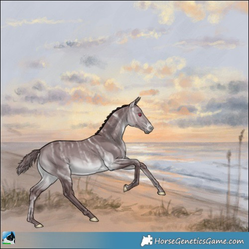 Horse Color:Chocolate Brown Chinchilla Ice 