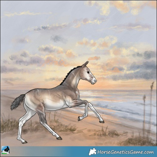 Horse Color:Brown Ice Onyx Sabino 