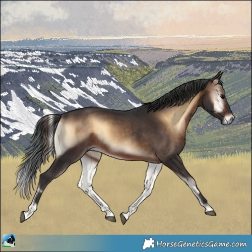 Horse Color:Brown Onyx 