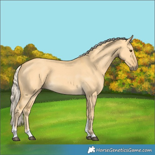 Horse Color:Palomino Dun Tobiano