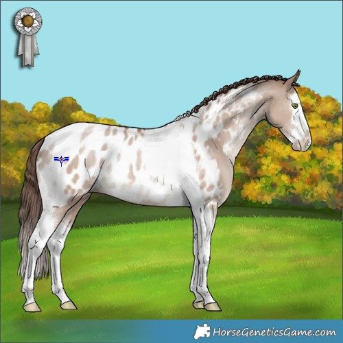 Horse Color:Classic Champagne Dun Splash Tobiano Appaloosa Rabicano 