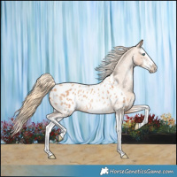 Horse Color:Gold Champagne Sabino Splash Blanket 