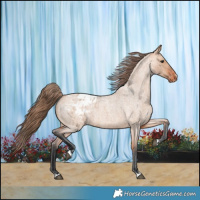 Horse Color:Bay Roan Dun Blanket 