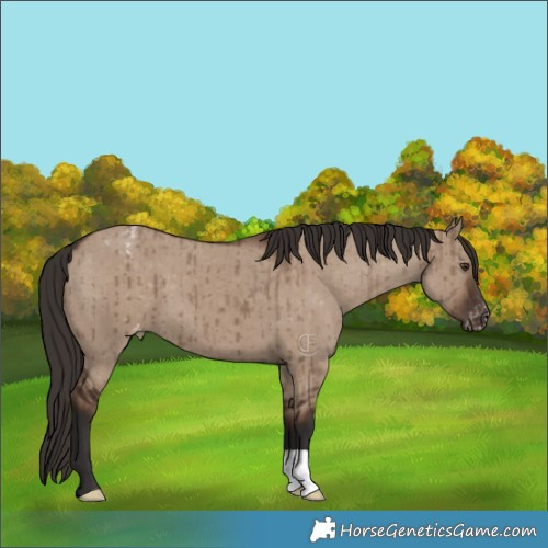 Horse Color:Liver Red Dun Varnish Brindle 