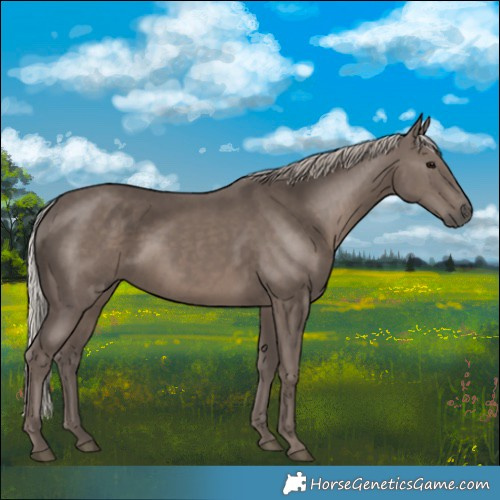 Horse Color:Silver Black 