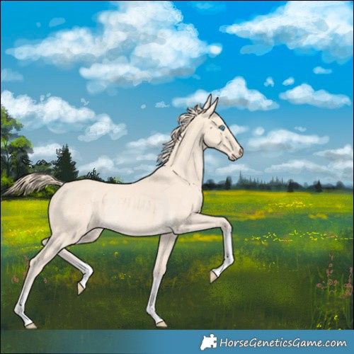 Horse Color:Perlino Rabicano