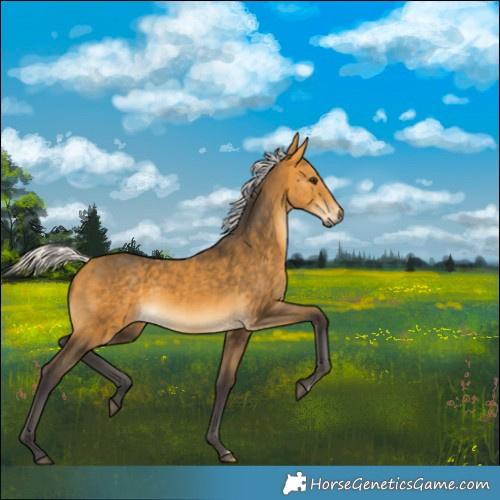 Horse Color:Silver Buckskin