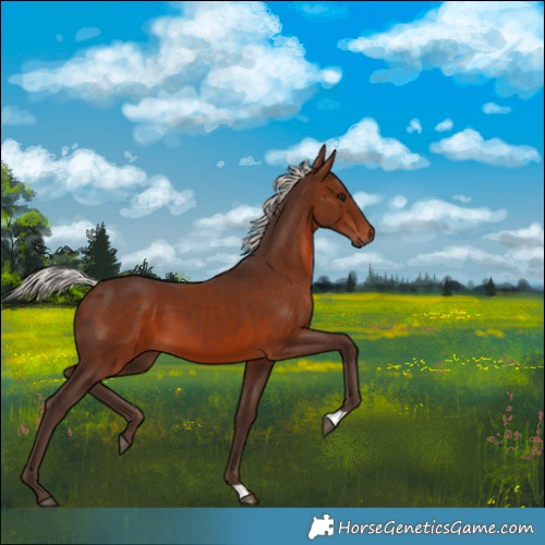 Horse Color:Silver Brown
