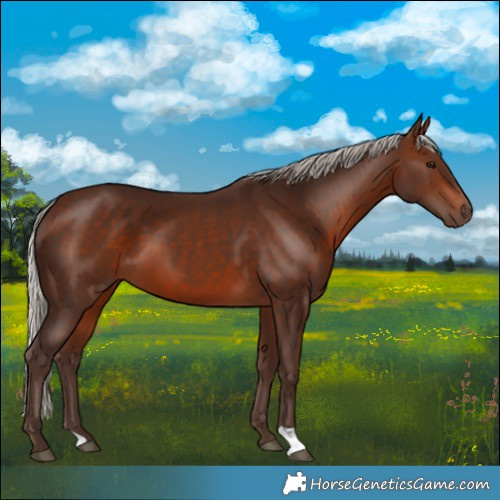 Horse Color:Silver Brown 