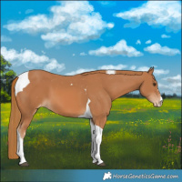 Horse Color:Chestnut Tobiano Varnish 