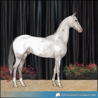 Horse Color:Liver Red Dun Snowcap Brindle 