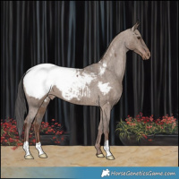 Horse Color:Liver Red Dun Snowcap Brindle