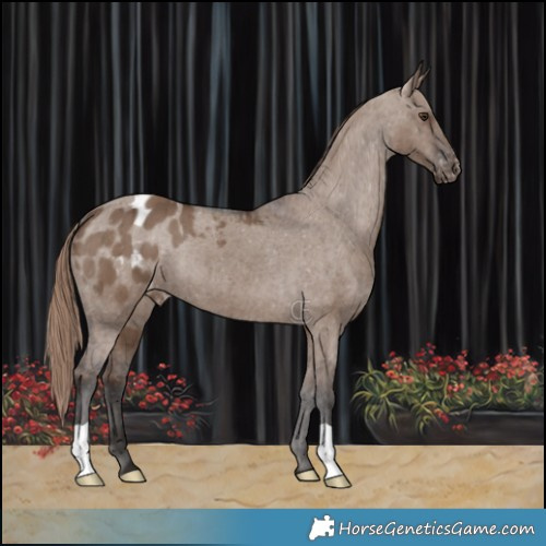 Horse Color:Liver Red Dun Varnish Brindle 