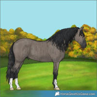 Horse Color:Grullo Brindle 