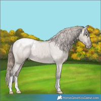 Horse Color:Liver Red Dun Varnish Brindle 