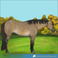 Horse Color:Buckskin Dun Brindle 