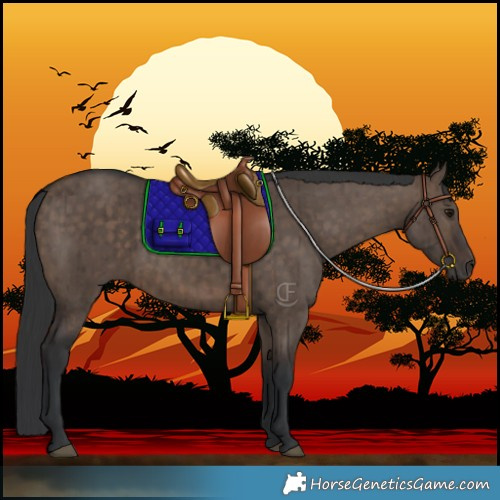 Horse Color:Brown Dun Brindle 