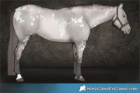 Horse Color:Platinum White Spotted Red Dun Pearl 