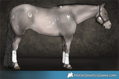 Horse Color:Platinum White Spotted Chestnut Pearl 