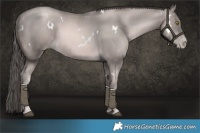 Horse Color:Platinum White Spotted Chestnut Pearl