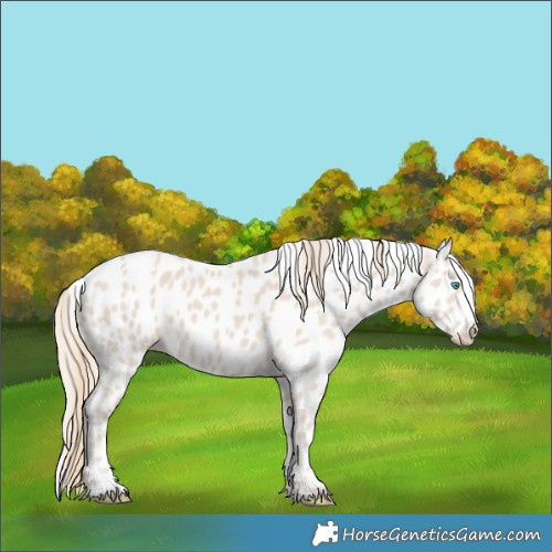 Horse Color:Smoky Creme Leopard 