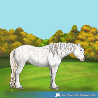 Horse Color:Smoky Creme Leopard 