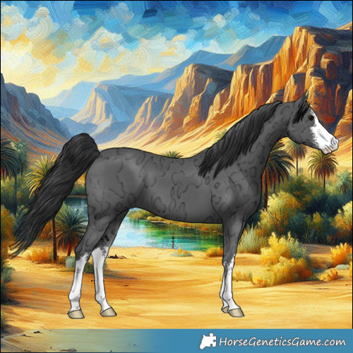 Horse Color:White Spotted Black Ice 