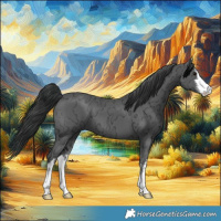 Horse Color:White Spotted Black Ice
