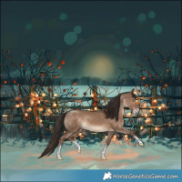 Horse Color:Liver Red Dun Sabino 