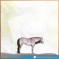Horse Color:Liver Red Dun Onyx Sabino 